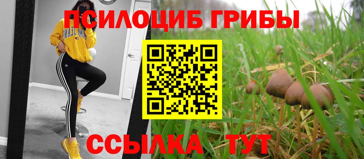 Псилоцибиновые грибы мицелий Кудымкар