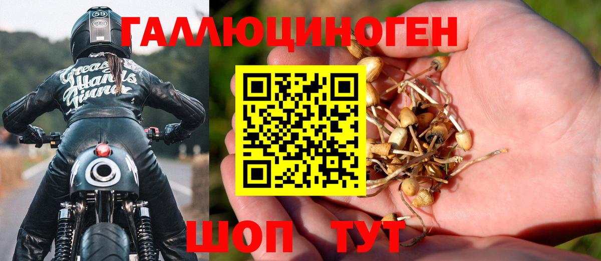 Кудымкар  закладка  Псилоцибиновые грибы GOLDEN TEACHER  Вход с VPN  Псилоцибиновые грибы GOLDEN TEACHER 
